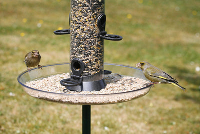 CJ Wildlife Feeder Tray Large